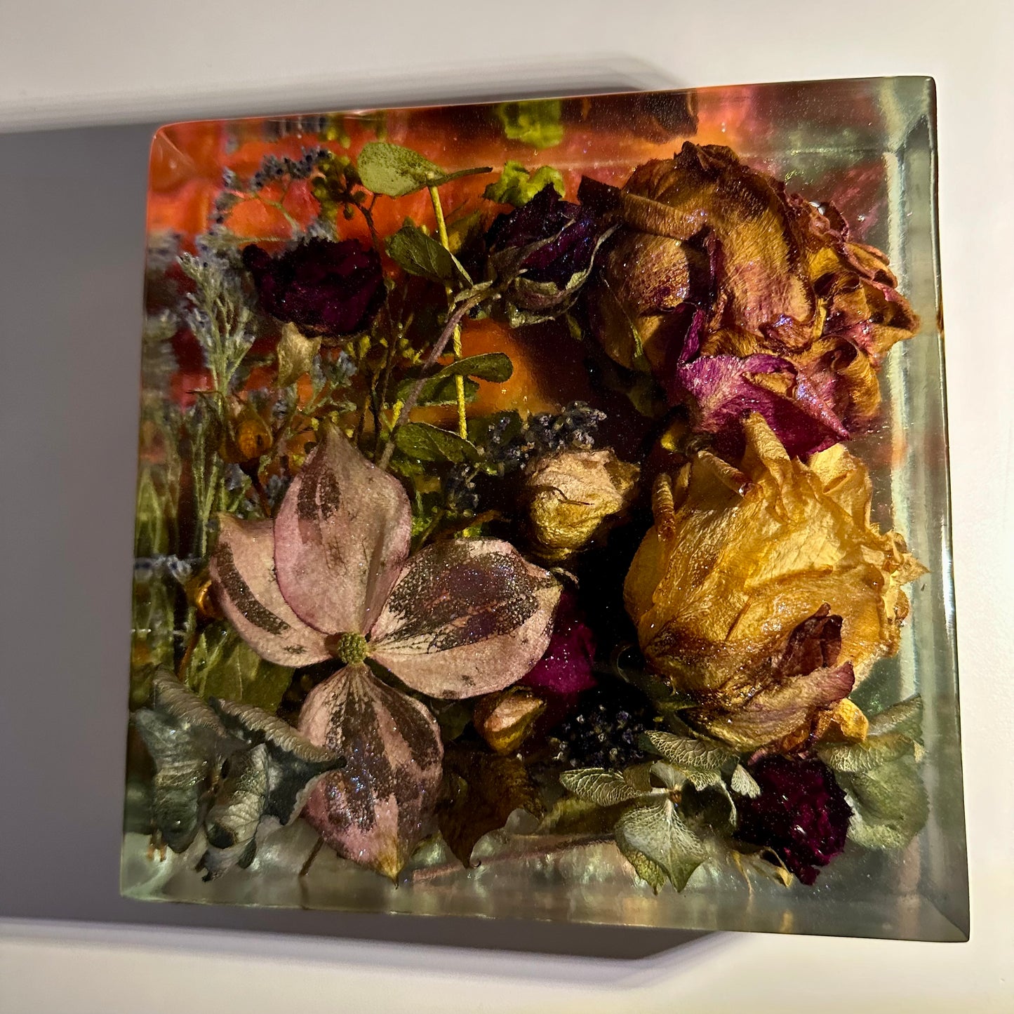 Square Garden with Sunkin Roses