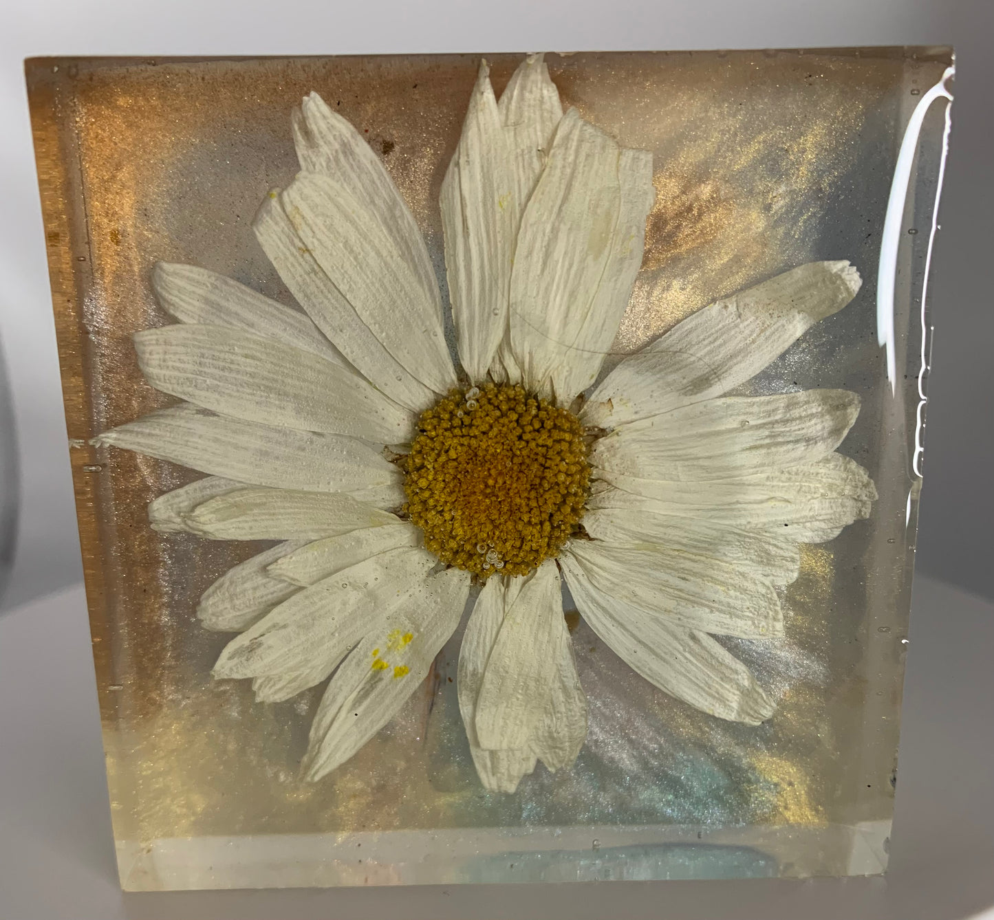 Large Daisy Small Square 04