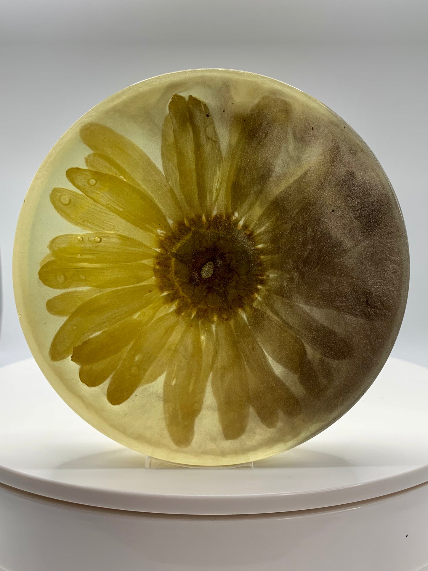 Daisy Circle 03