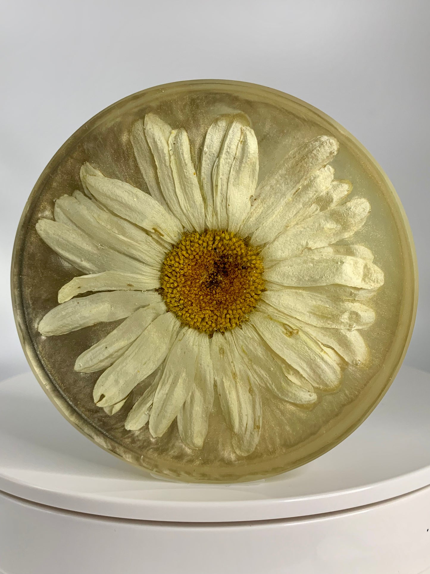 Daisy Circle 03