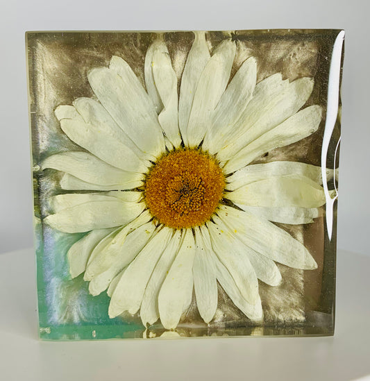 Large Daisy Small Square 03